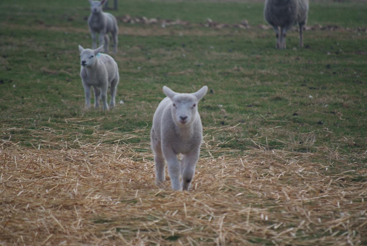 Woodhouse Farm Lodge Spalding Esterno foto
